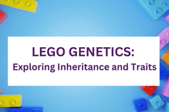 Lego Genetics: Exploring Inheritance and Traits