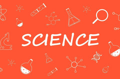 3rd Grade Science - Part 2