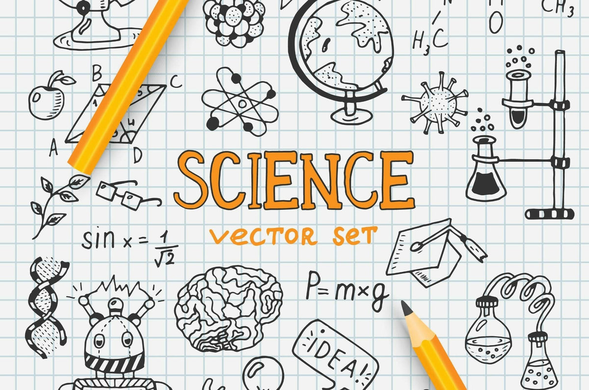 6th Grade Science - Part 2