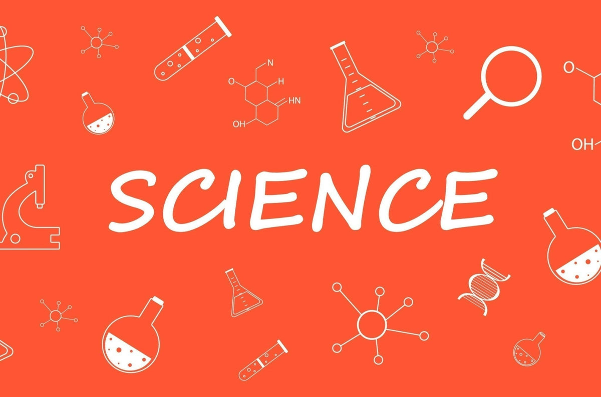3rd Grade Science - Part 2